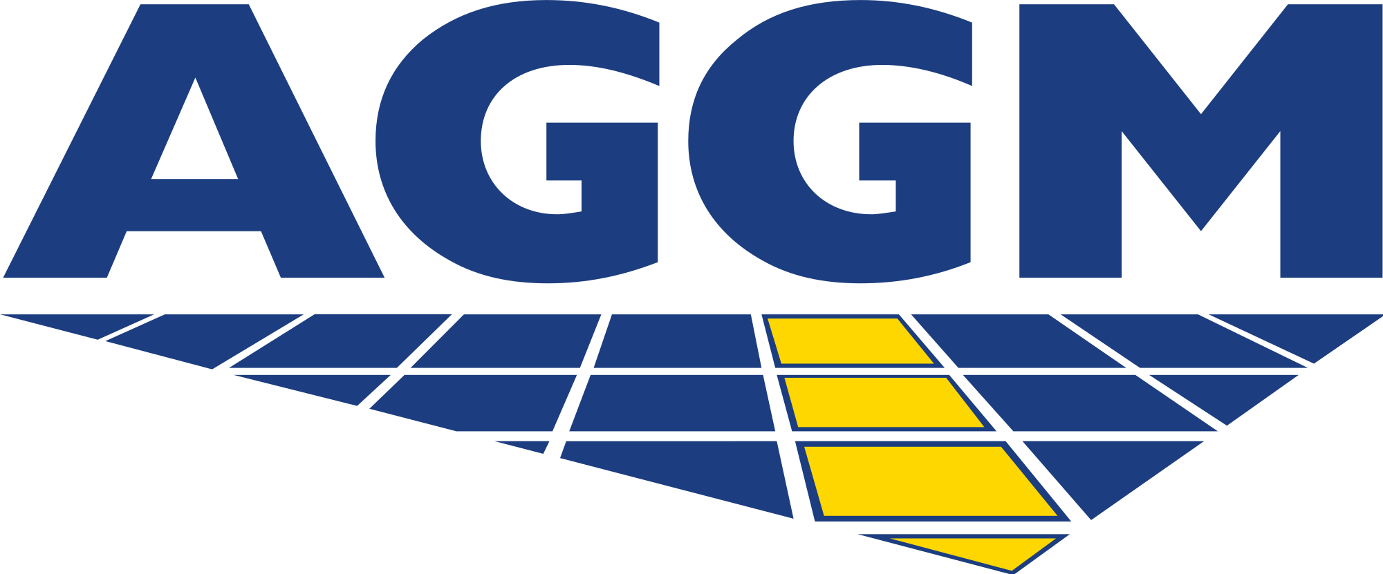 AGGM_Virtimo_Referenz