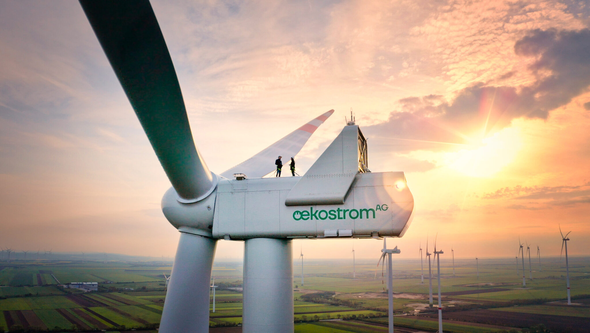 Zentrale Cloud-Plattform für oekostrom.