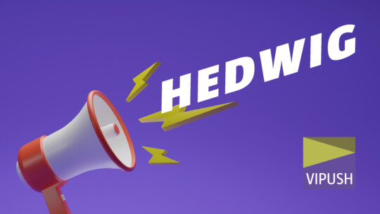 HEDWIG incoming: New transparency rules for the energy market.