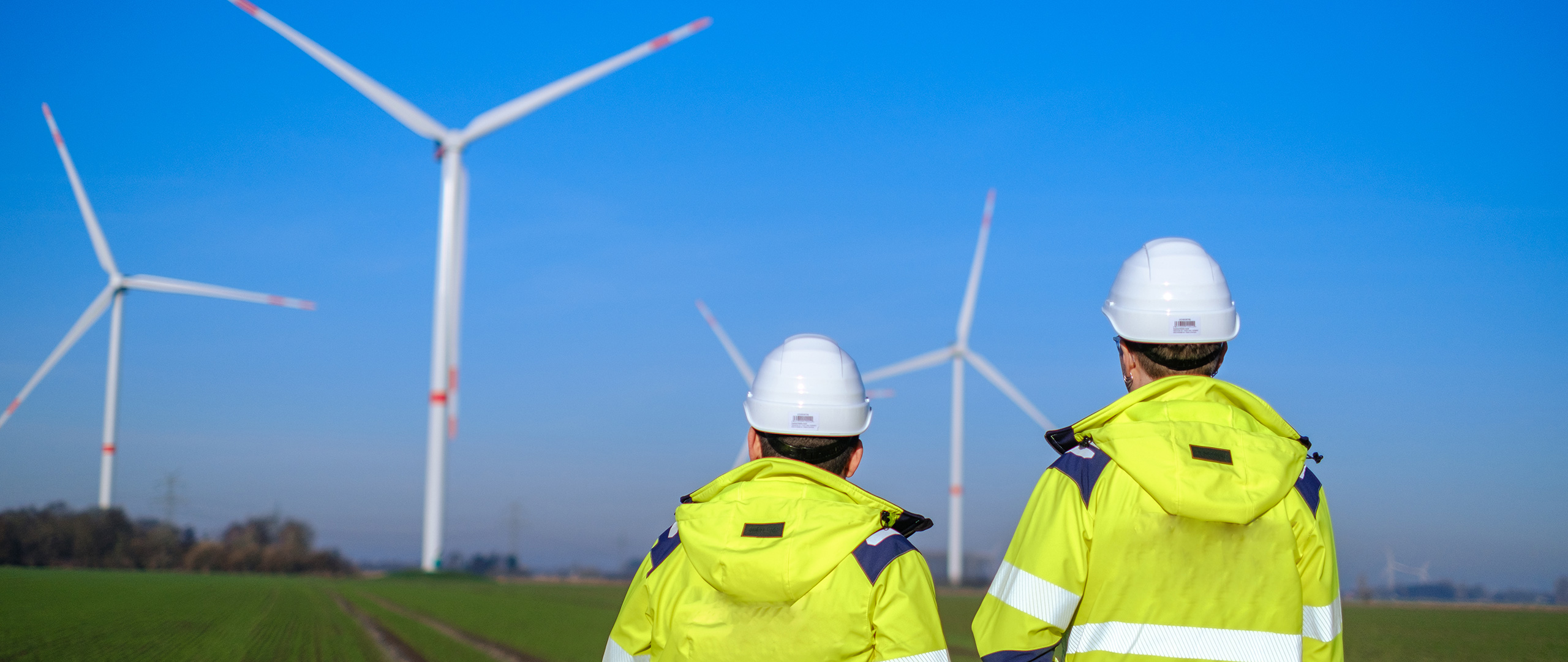 HandelGrün: from greenfield to the power market.